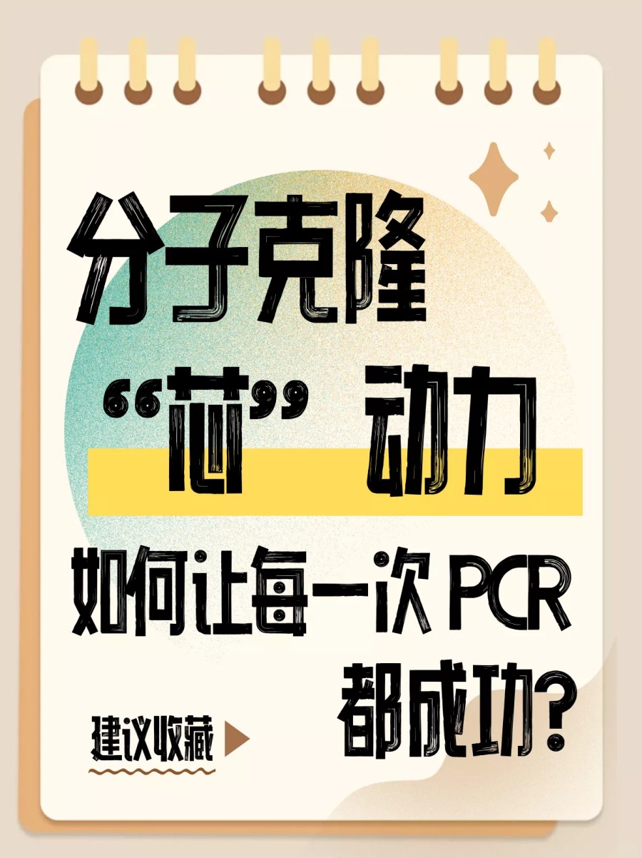 分子克隆 “芯” 动力：如何让每一次 PCR 都成功？