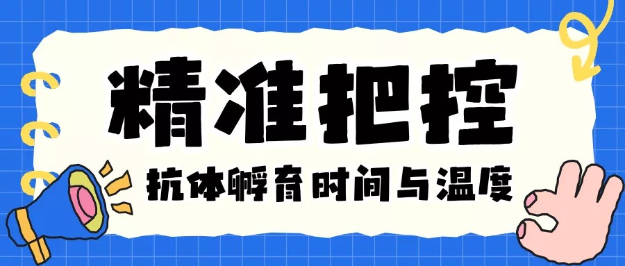 WB实验中抗体孵育时间和温度怎么精准把控？