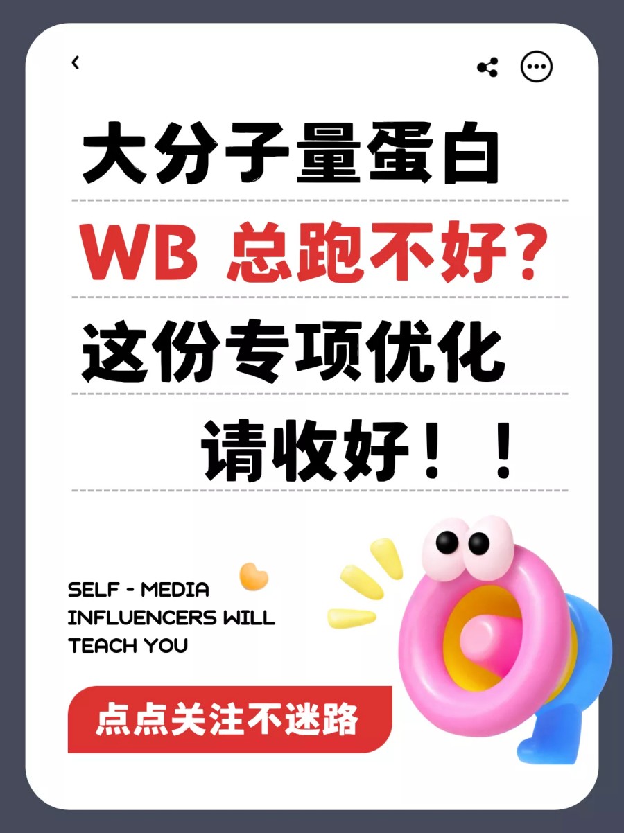 大分子量蛋白 WB 总跑不好？这份专项优化请收好