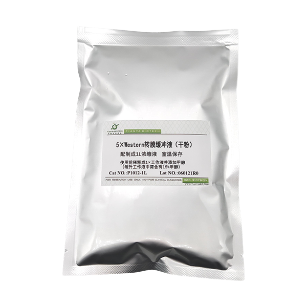 5×western湿转转膜缓冲液(干粉)