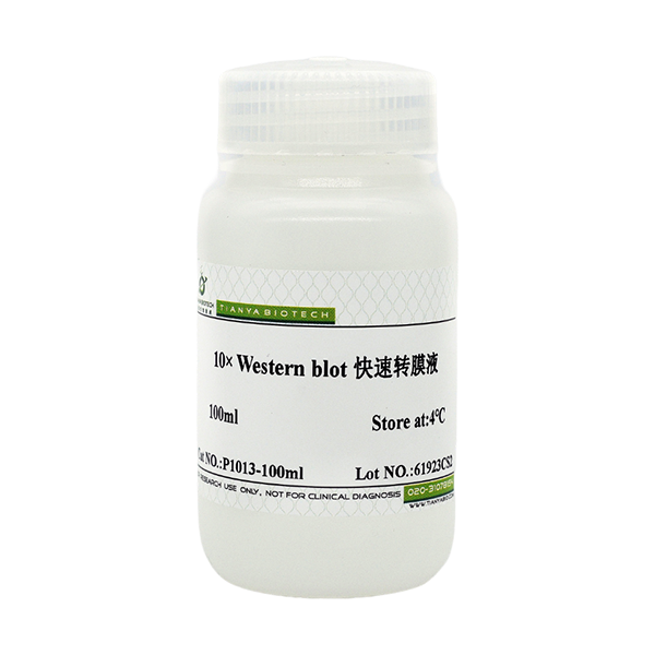 10× Western blot 快速转膜液