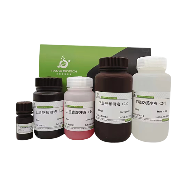 15%固定浓度超快速SDS-PAGE凝胶配制试剂盒