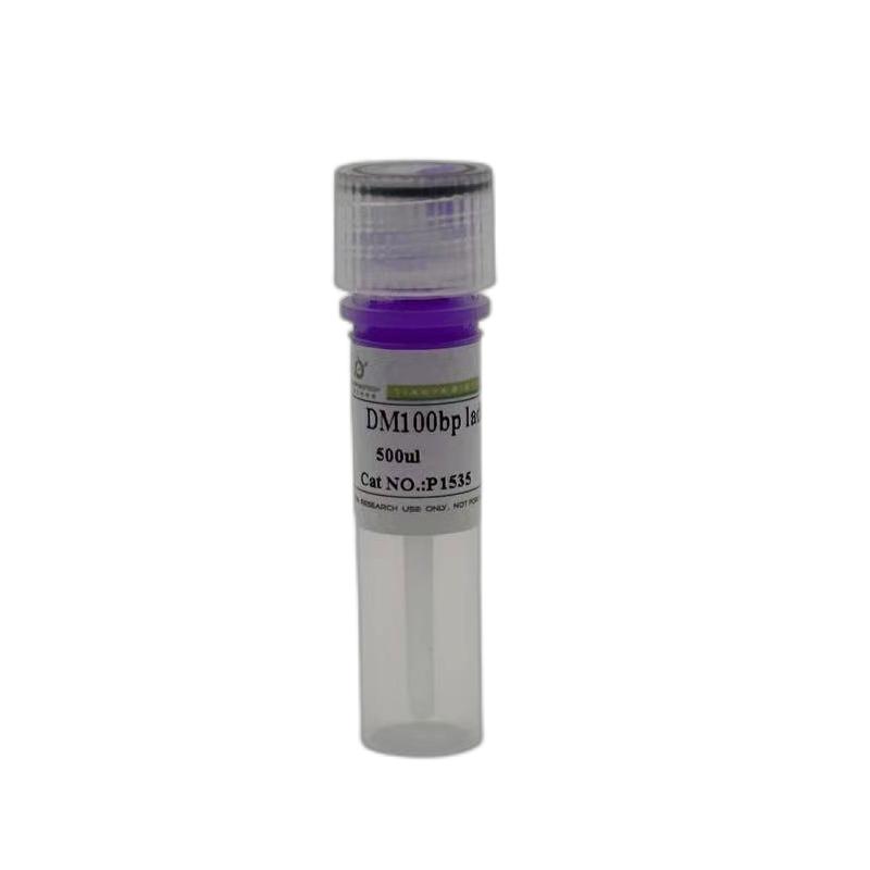 DM100bp ladder DNA Marker