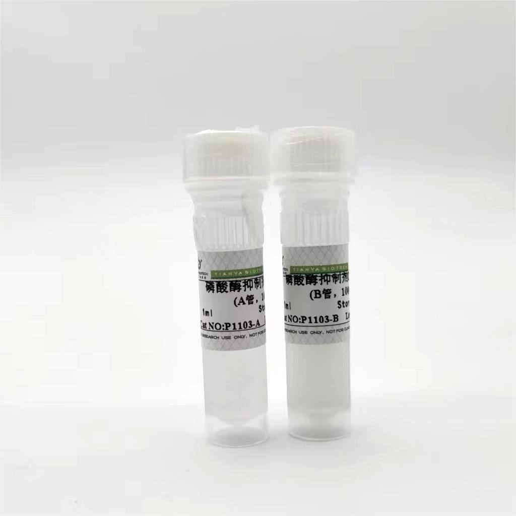 磷酸酶抑制剂Cocktail(A+B , 100X)
