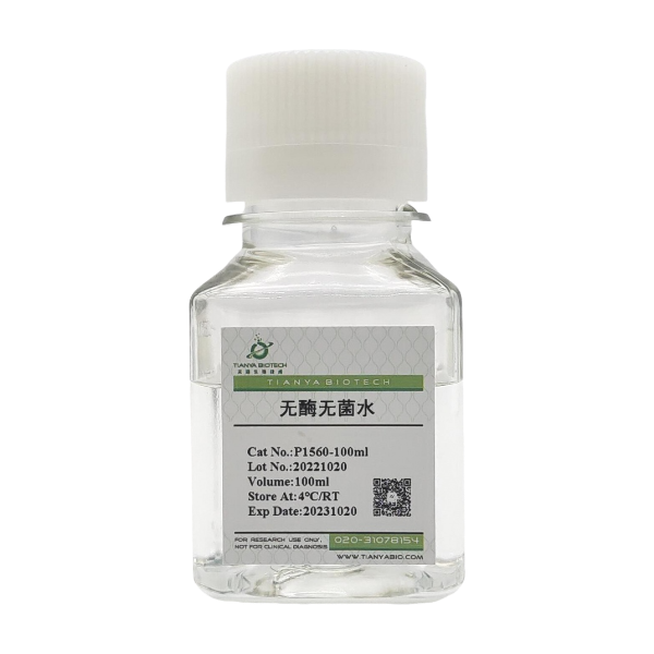 无酶无菌水（用于RNA）