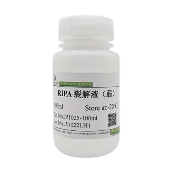 RIPA裂解液（弱）
