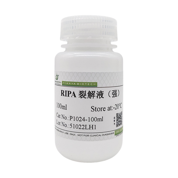 RIPA裂解液（强）