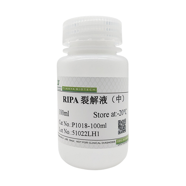 RIPA裂解液（中）