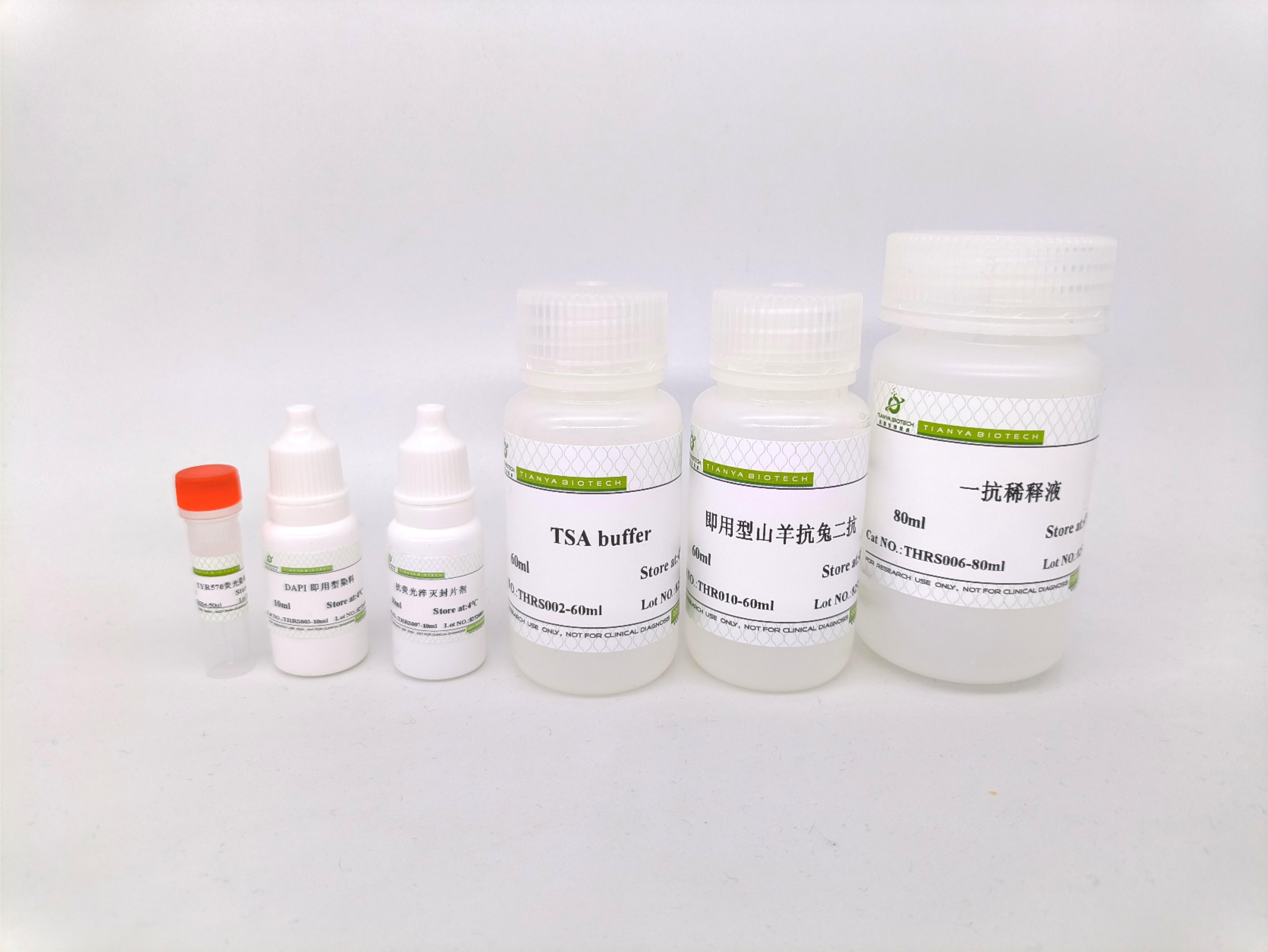 单标信号放大试剂盒(TYR570/兔二抗)