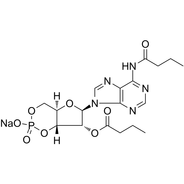 Dibutyryl-cAMP, sodium salt