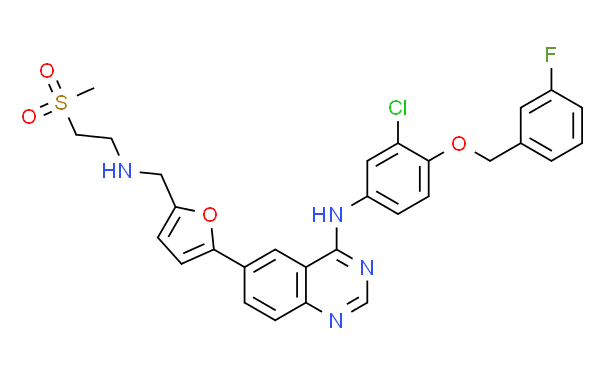 Lapatinib