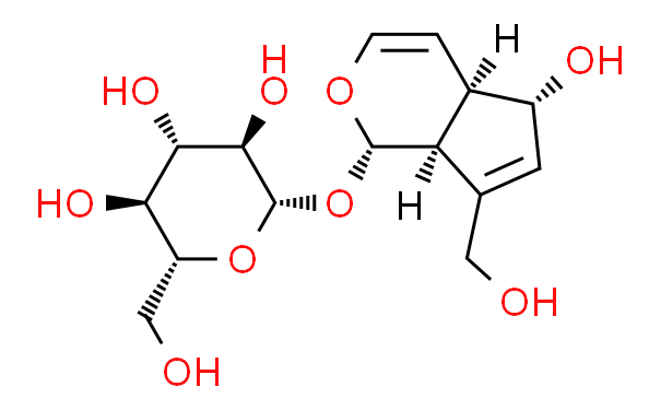 Aucubin