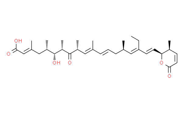 Leptomycin B